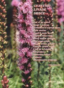 Cvijee - Zadnja str. br. 3/2000.