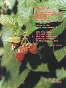 Zadnja stranica br. 7-8/2000 - kupine