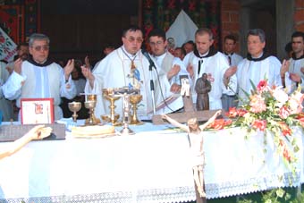 Kardinal i "ujaci" poti�u na povratak