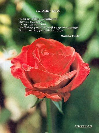 Zadnja stranica - Veritas br. 9/1999